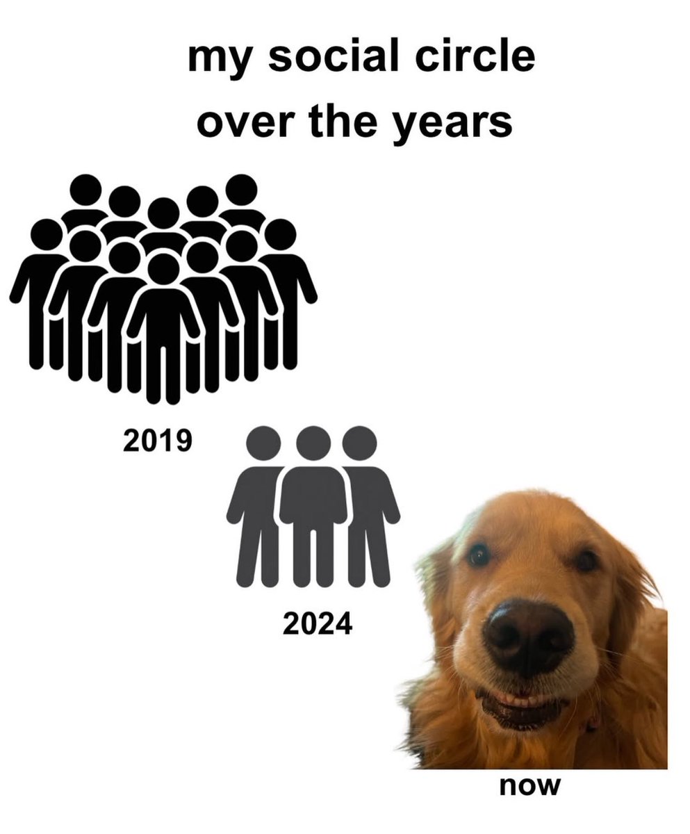 Puppies 🐶 (@puppiesiover) on Twitter photo 