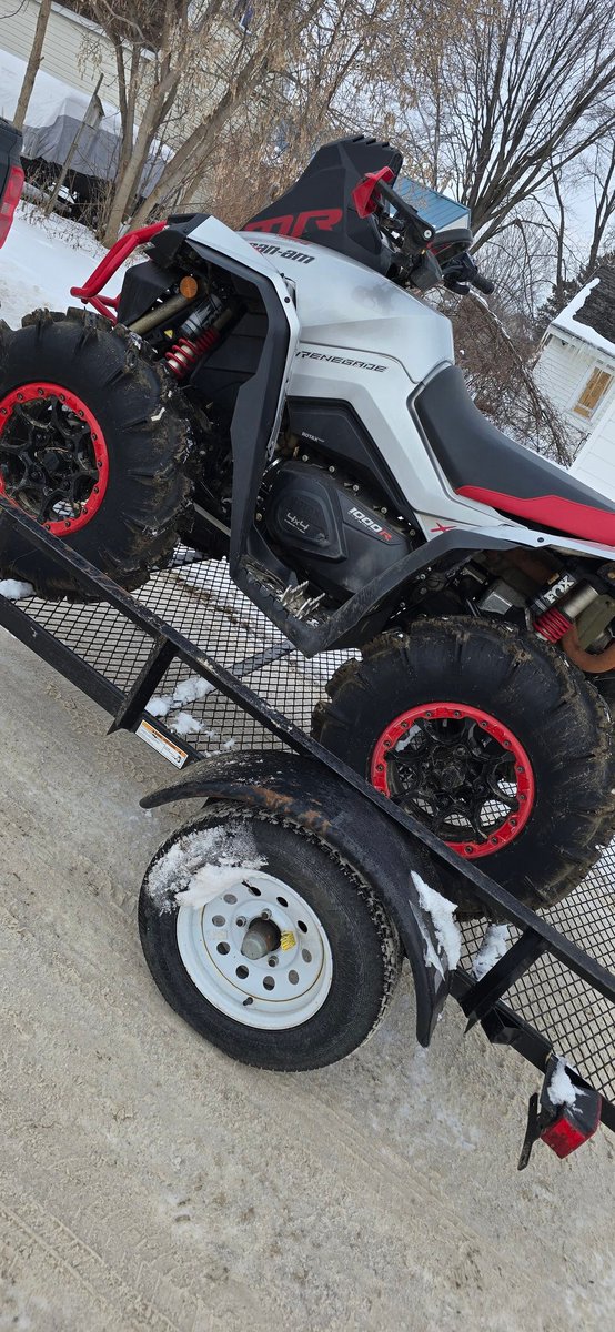 AlphaBlueCollar tweet media