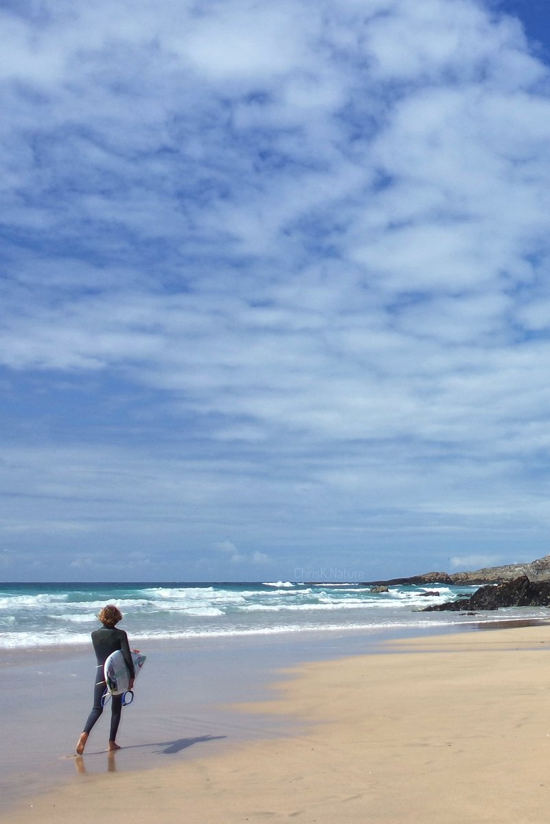 chrisk_nature's tweet image. 'The Surfer'
- in Cornwall, UK
Yes we do have a few sunny beaches

#surfer #surf #beach #sand #coast #kernow