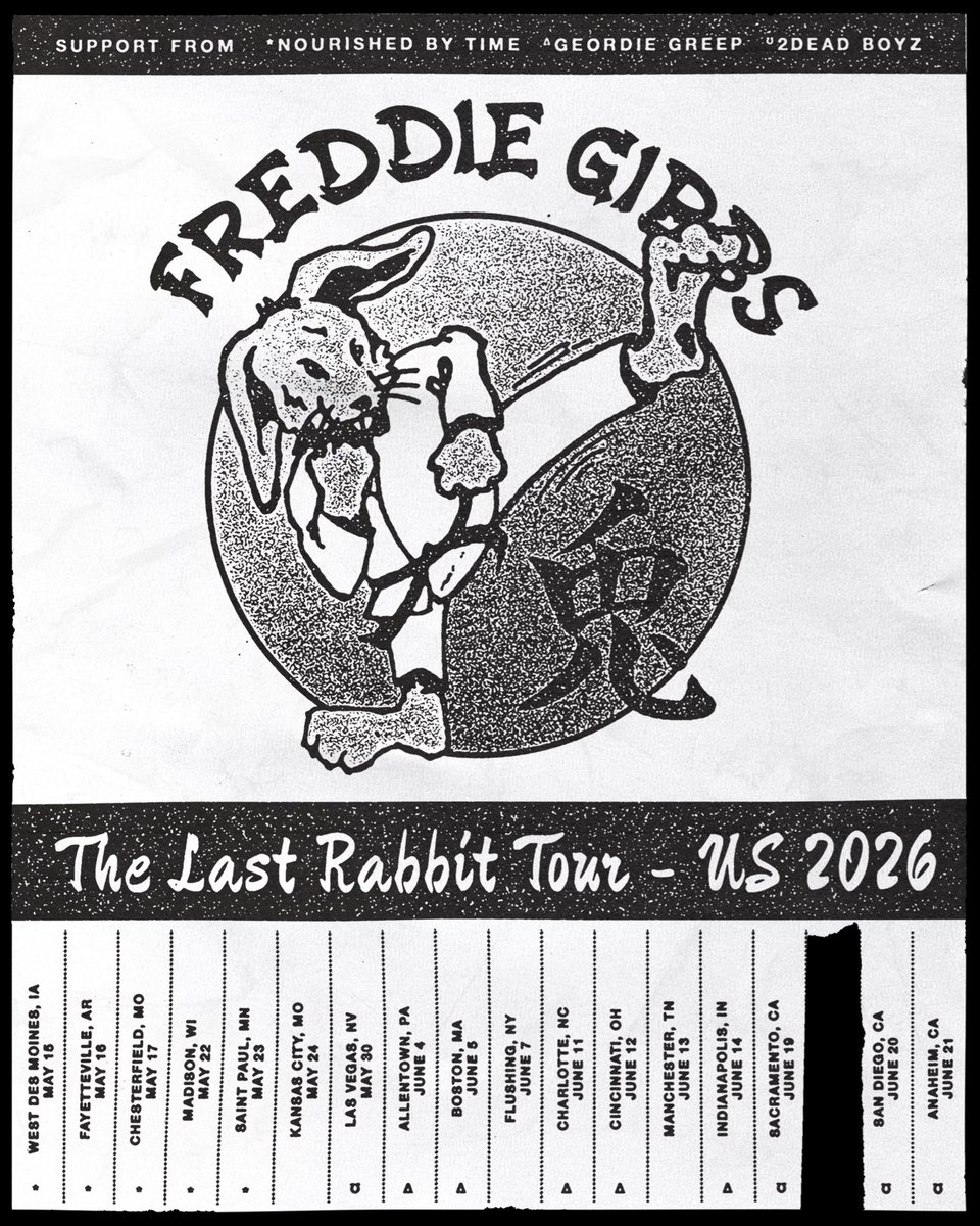 Big 🐰 tweet media