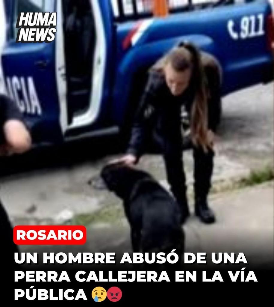 humanewsinfo's tweet photo. 🚨 Horror en Rosario: abusó de una perra callejera y quedó filmado 😡🐕

Ocurrió en barrio Godoy, a plena mañana. Una cámara de seguridad registró el ataque y el caso ya está denunciado.

📌 Qué pasó:

📹 Un hombre fue grabado por cámaras de seguridad mientras abusaba sexualmente de una perra callejera en la vereda.

🐶 La perra, llamada Negra, fue resguardada y derivada a la Policía Ecológica para controles veterinarios