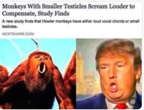 DahlquistEileen's tweet photo. @WarlordDilley where was the outrage over these? https://t.co/6btZWvYTQS
