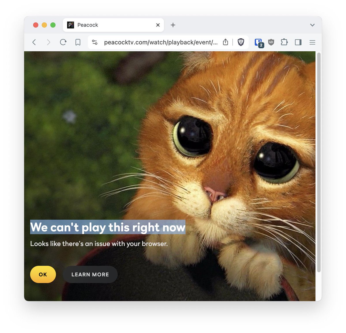 Jeremy Kauffman 🦔🌲🌕 tweet media