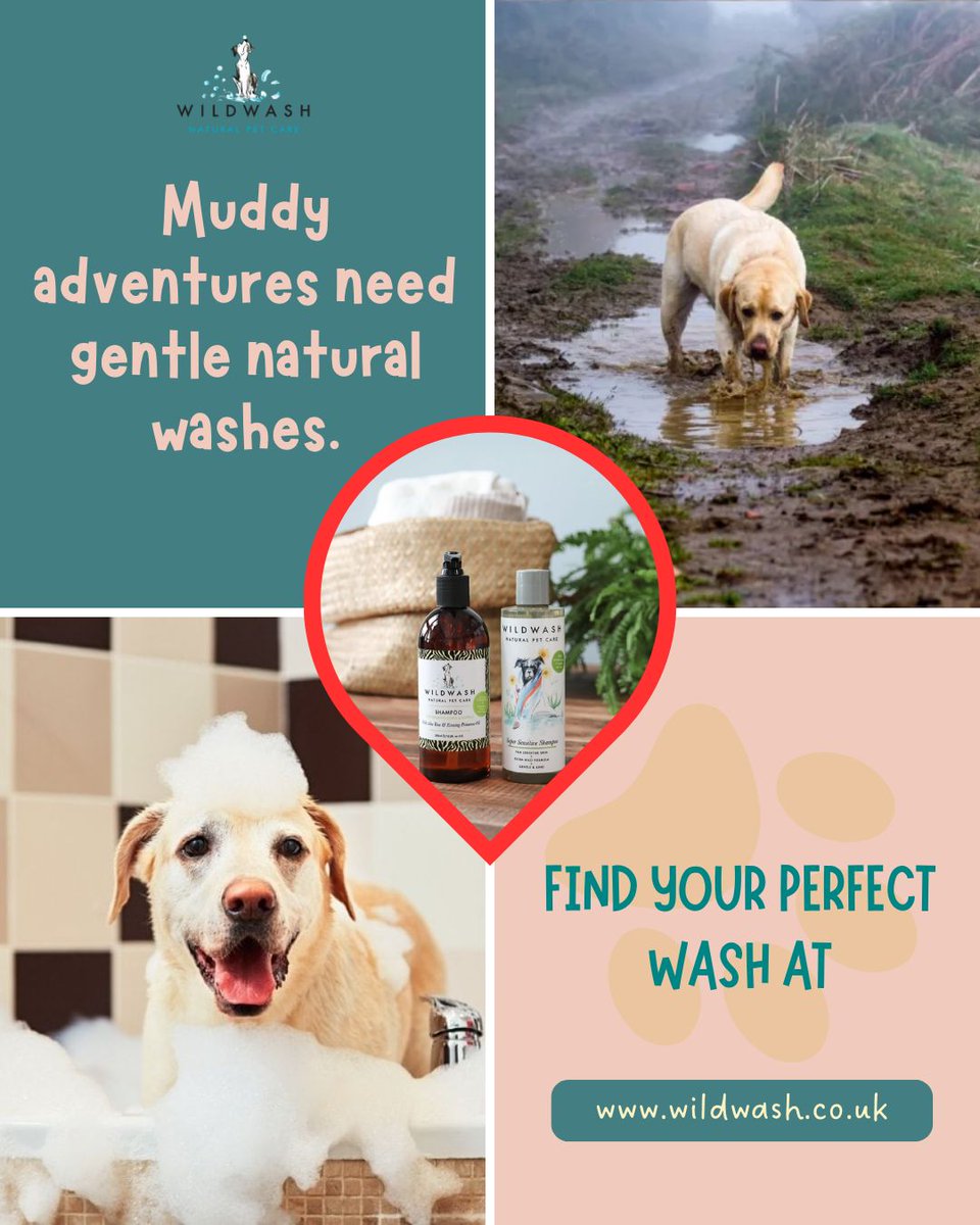 WildWash tweet media