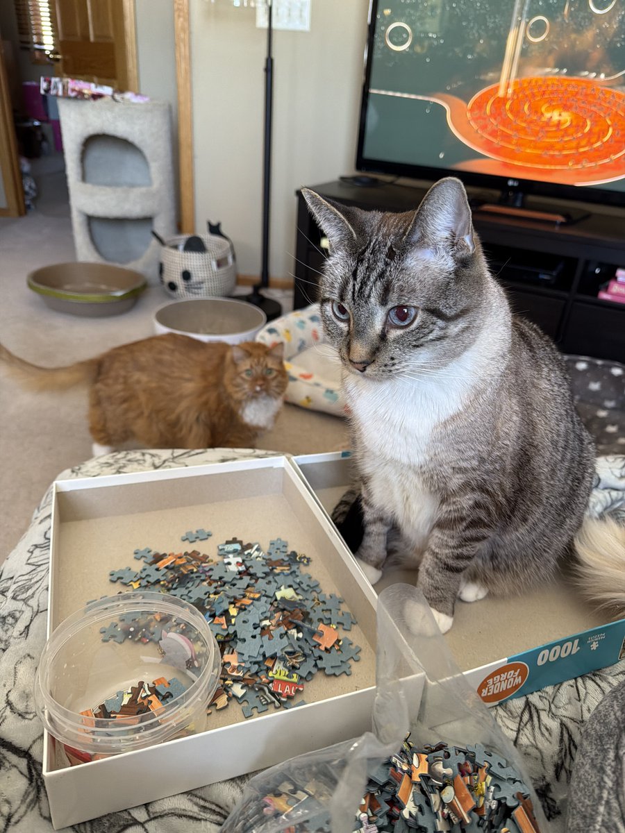 🐛🌷Dean🦋🪴 tweet media