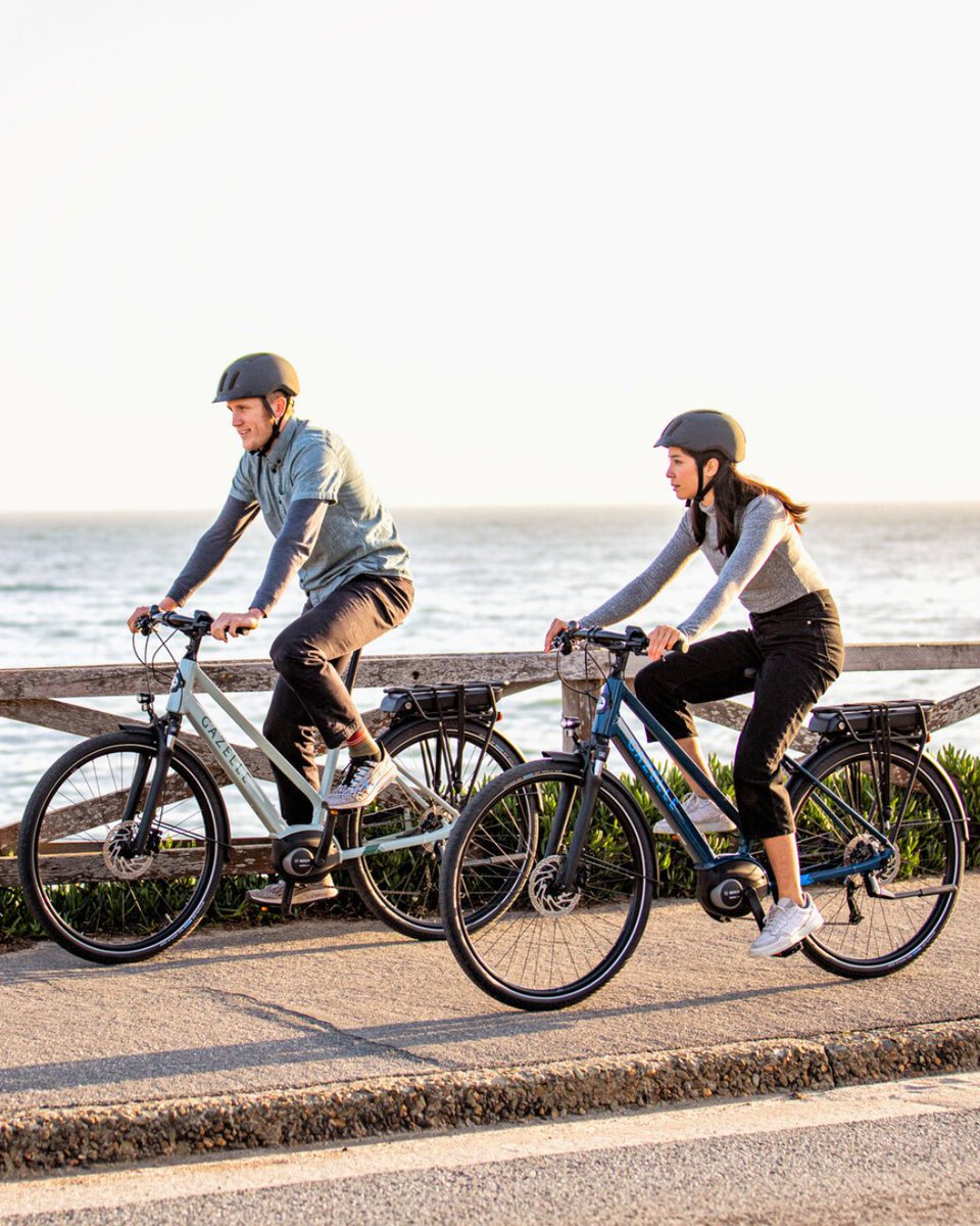 Who's your biking buddy? 🚲

#ElectricFoldingBikesNW #GazelleBikes #BikingBuddies