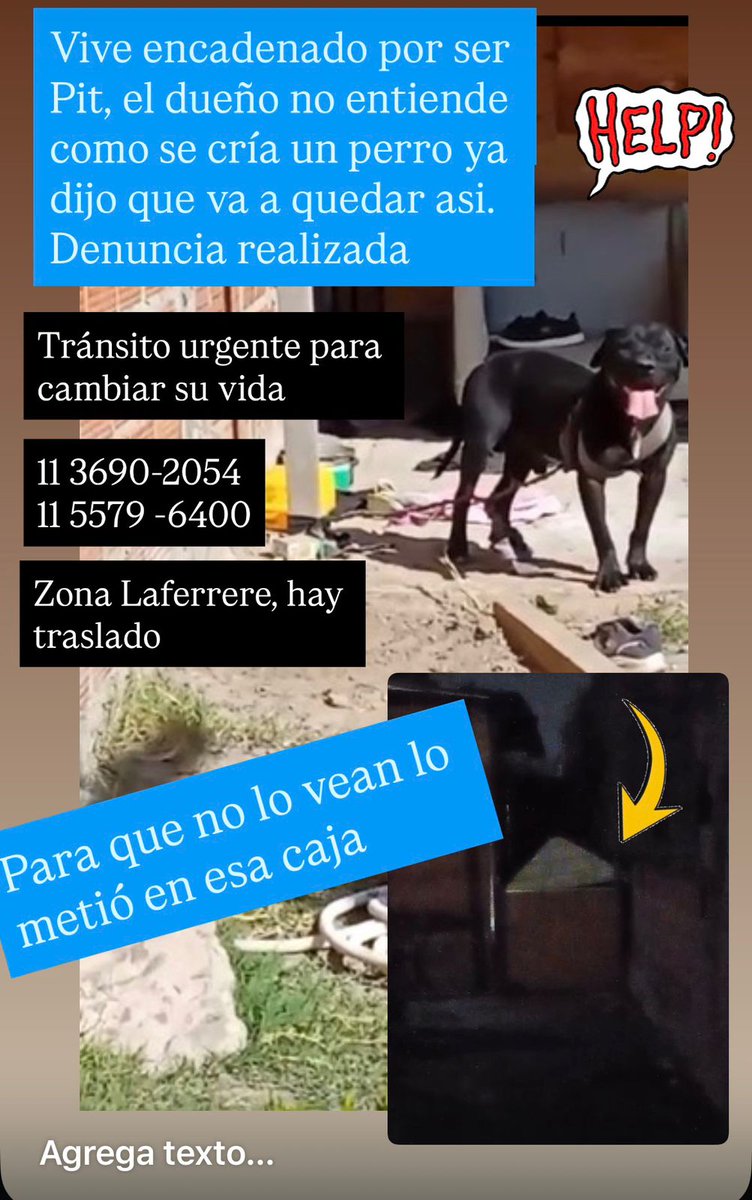 Patri tweet media