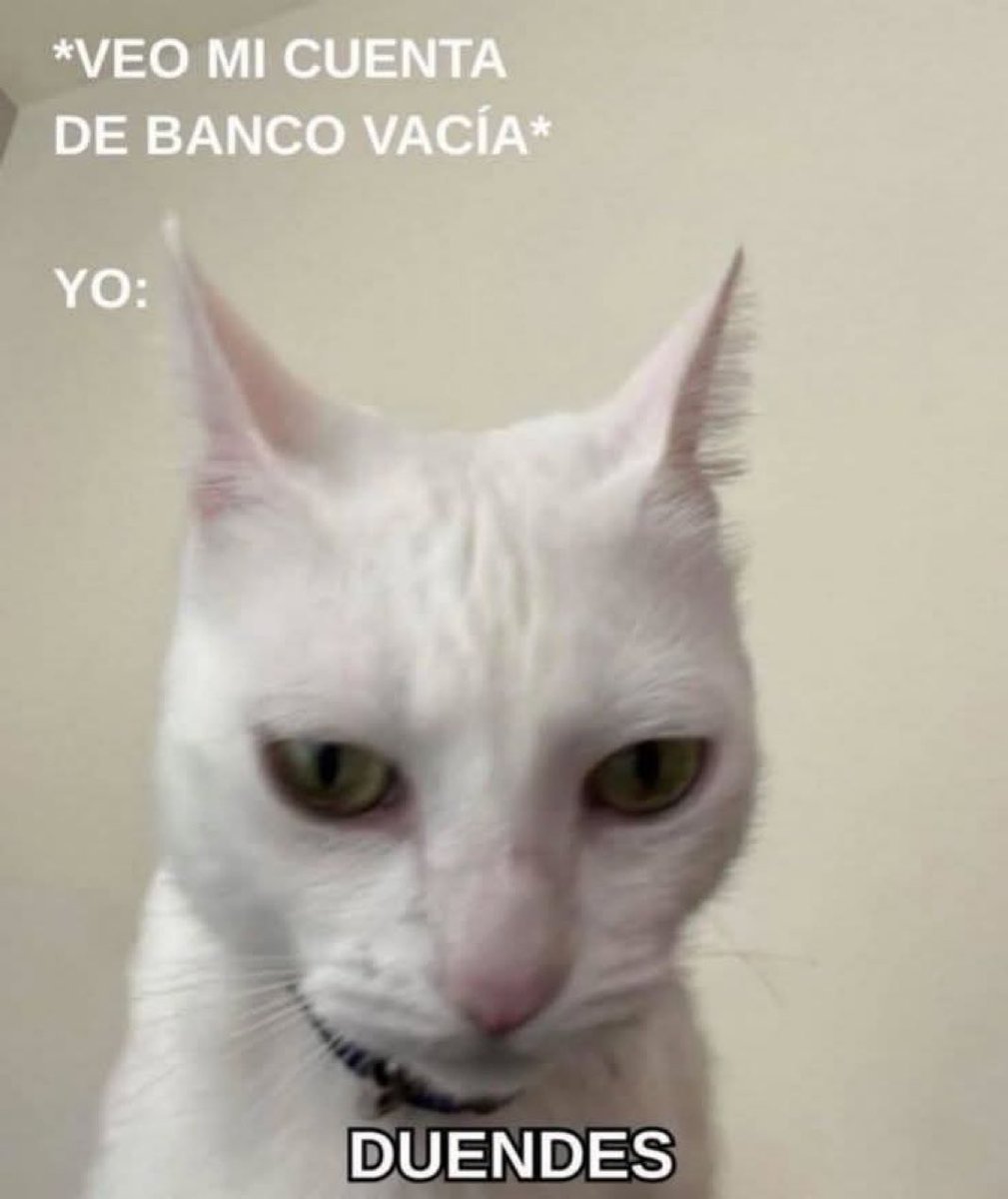 piña sin pizza (@skereunpesado) on Twitter photo 