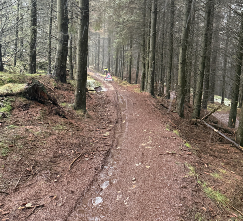 OPALlandegla's tweet photo. More great work by Joe and @terry_speed on #bline trail yesterday. puddle draining in the the rain is the way to go...
#mtb #llandegla https://t.co/sYBtWN2sfF