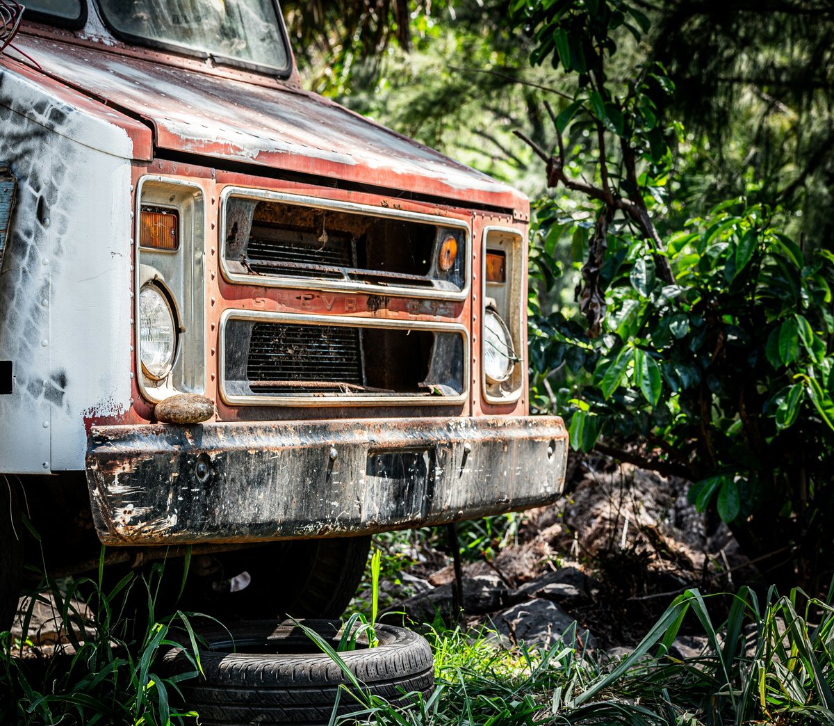 monkeybicycle tweet media