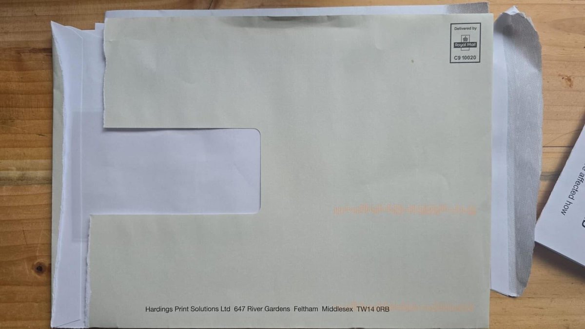 Joshi Herrmann tweet media