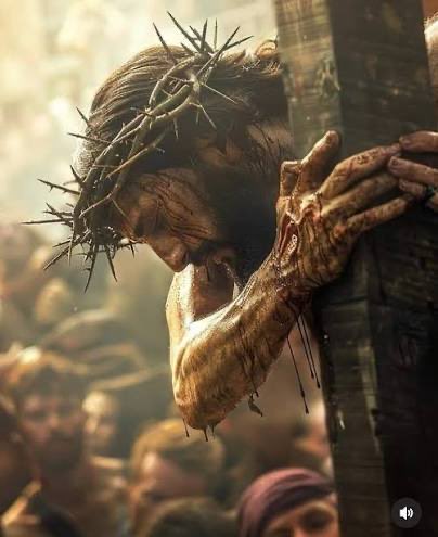 Amanda H. tweet media