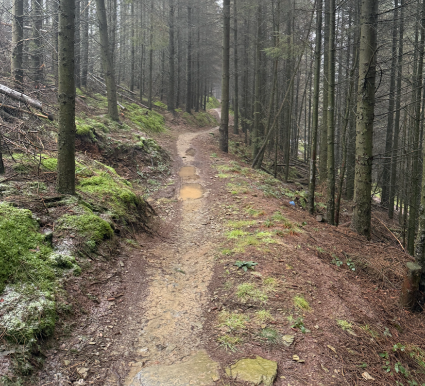 OPALlandegla's tweet photo. More great work by Joe and @terry_speed on #bline trail yesterday. puddle draining in the the rain is the way to go...
#mtb #llandegla https://t.co/sYBtWN2sfF
