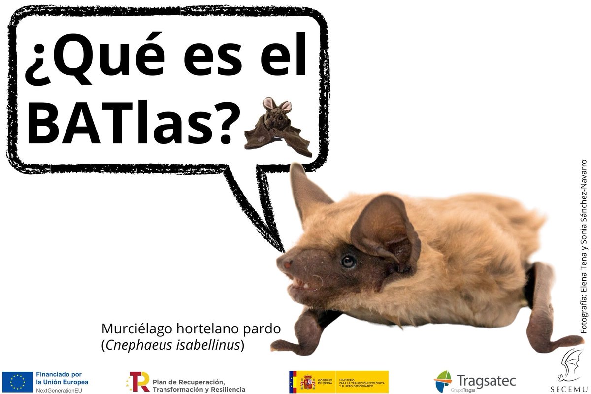 SECEMU tweet media