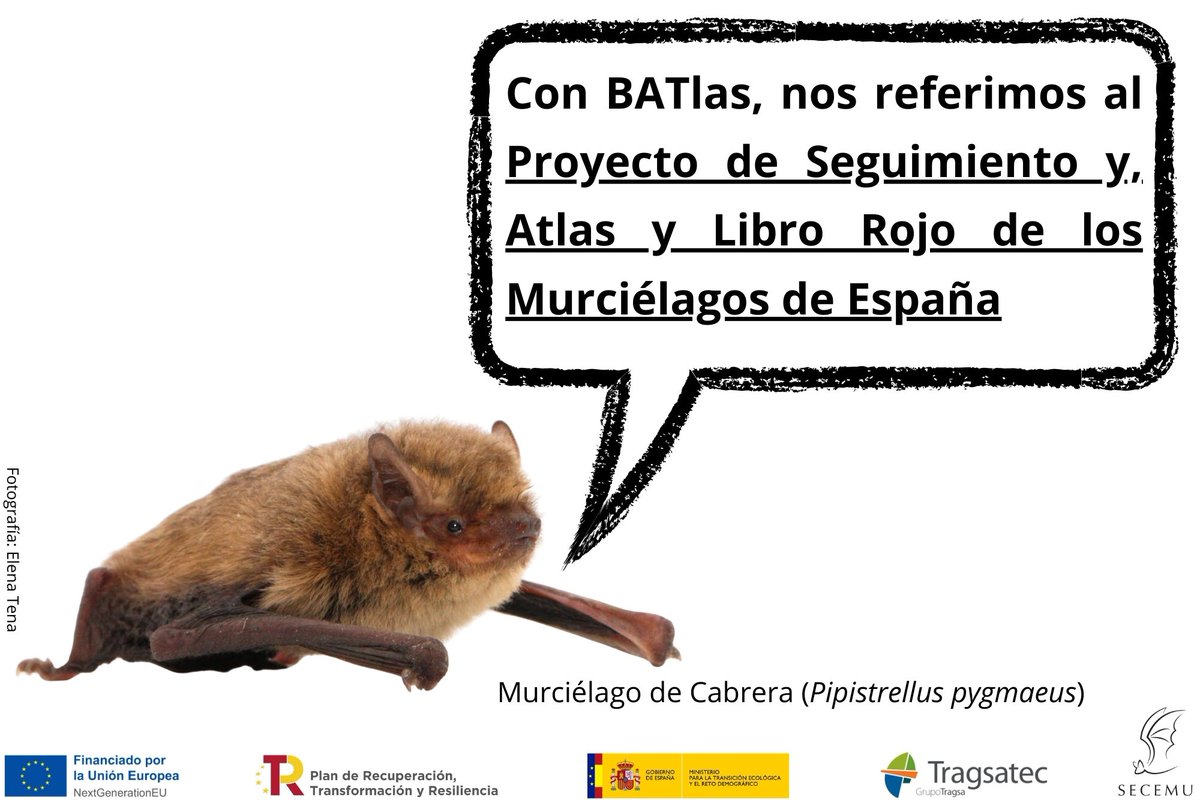 SECEMU tweet media