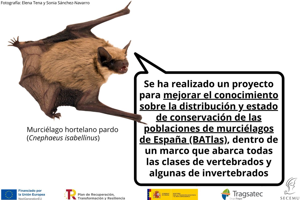 SECEMU tweet media