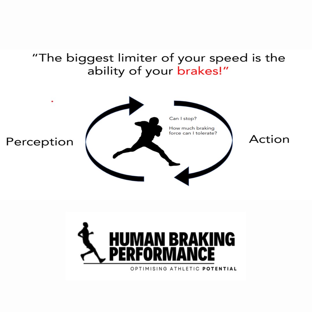 Damian Harper, PhD tweet media