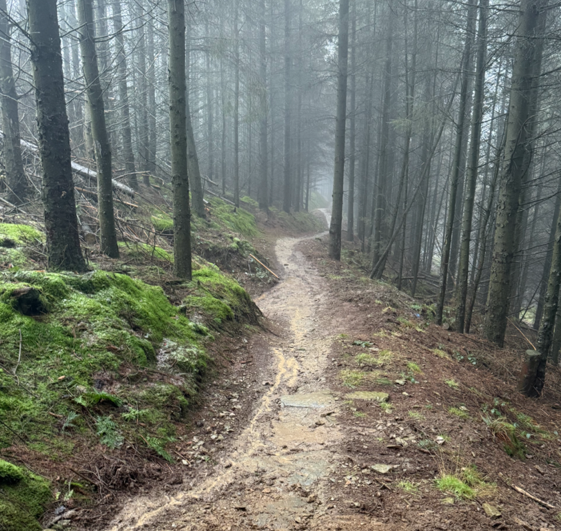 OPALlandegla's tweet photo. More great work by Joe and @terry_speed on #bline trail yesterday. puddle draining in the the rain is the way to go...
#mtb #llandegla https://t.co/sYBtWN2sfF