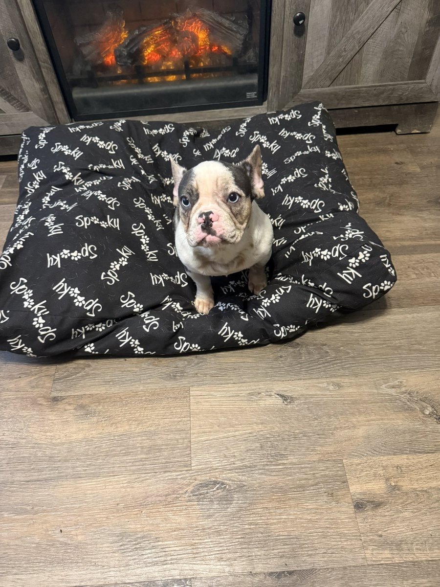 Bo McCalebb 🥶 tweet media