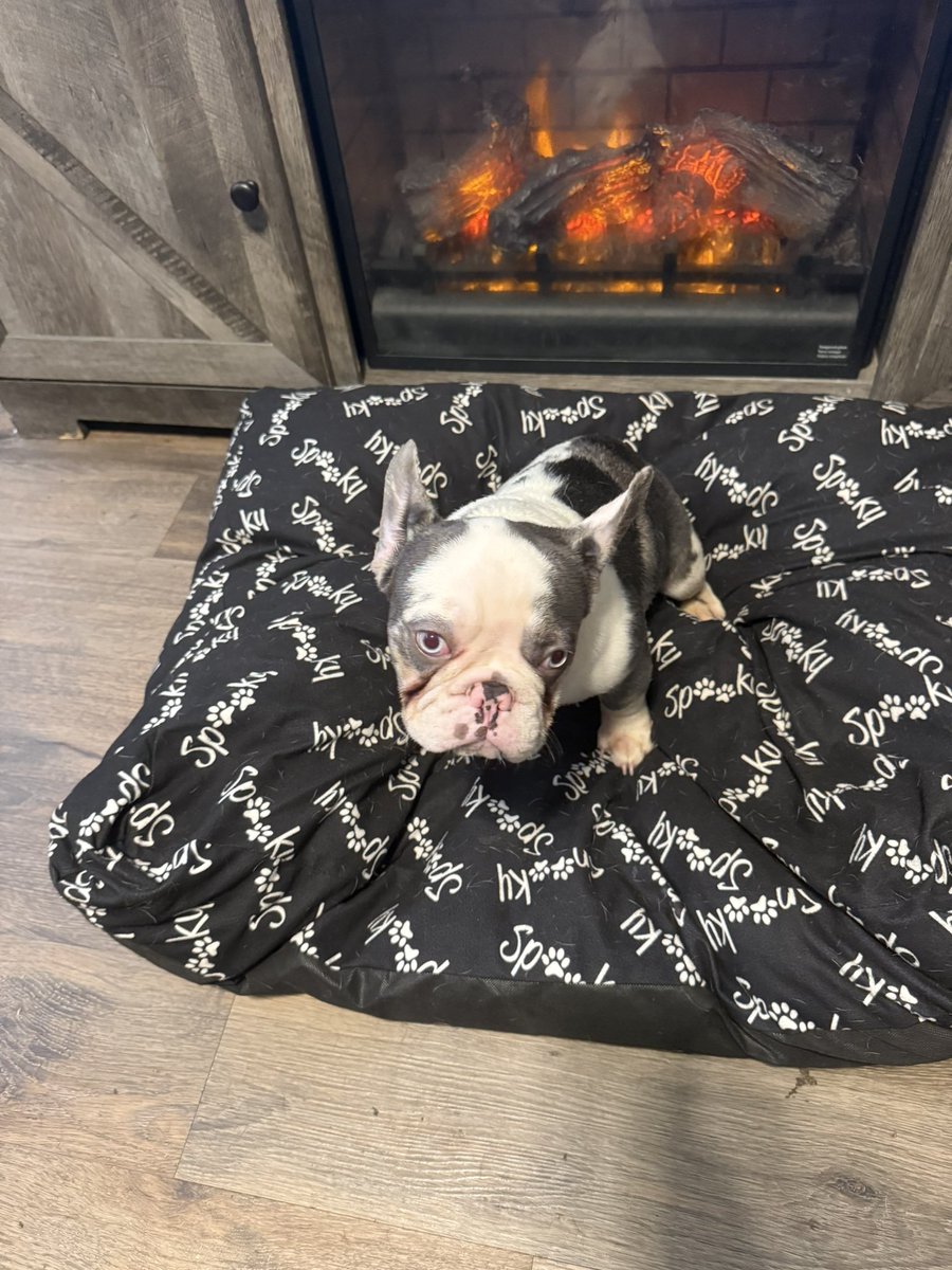 Bo McCalebb 🥶 tweet media