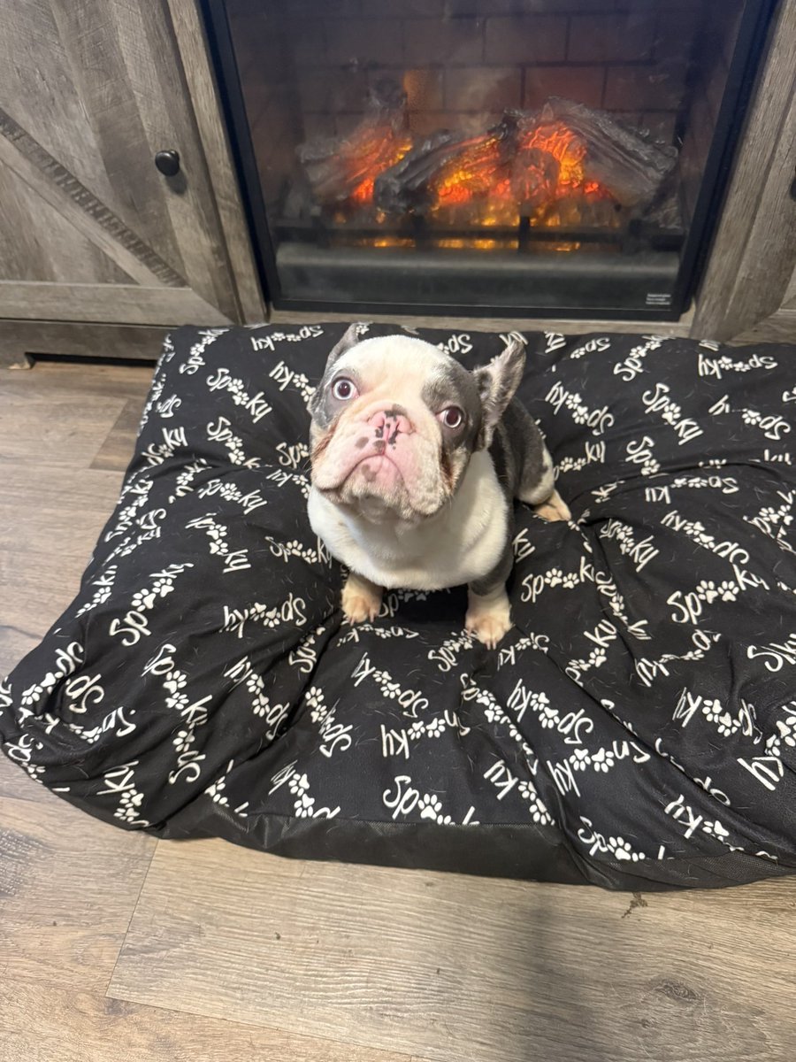 Bo McCalebb 🥶 tweet media