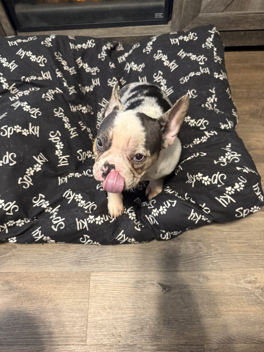 Bo McCalebb 🥶 tweet media