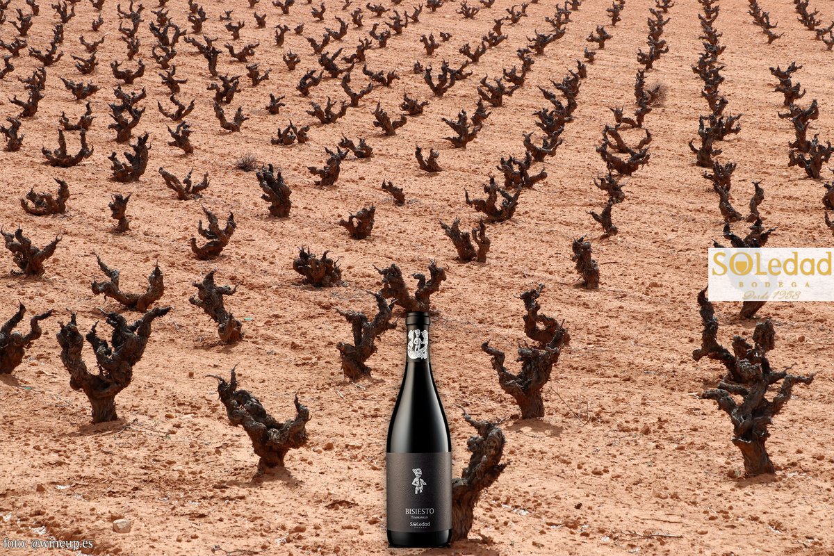 La variedad #tempranillo es muy importante para nuestra bodega. Con ella elaboramos los mejores tintos como BISIESTO, elaborado 100% con los viñedos más viejos de nuestros socios y con una crianza de 12 meses en barrica de roble.

disponible en: market.campoyalma.com/products?brand…