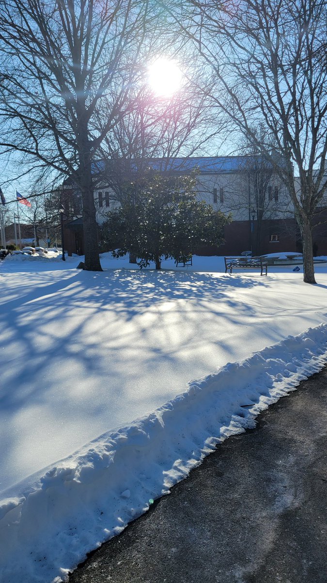 Good Afternoon Circus 🎪 Happy Friday! Wishing everyone a swell day ✨️ . The Taco Bell girl gave me a free Baja blast. Do you think she likes me hehe 😋 . A pretty picture for you from yesterday while I was out and about . Stay silly yall 🧡🤡