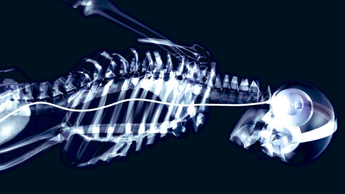 ㅈㅉ 트위터 할키 너무좋음
다필터씌워버리기.......