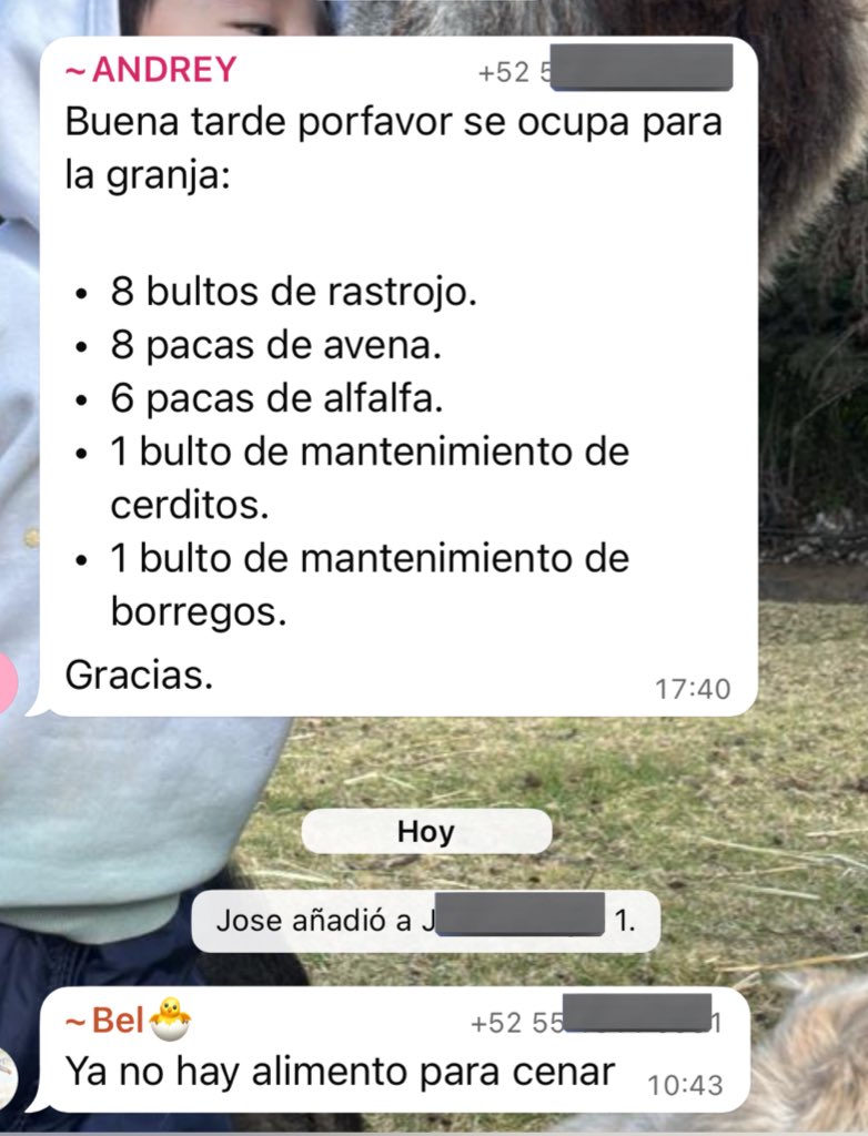 Hoy el refugio está vacío de alimento.

Y lleno de animales que dependen por completo de nosotros.

Las donaciones han bajado.
El cansancio pesa.
El estrés se acumula.

Aquí no hay lujos ni reservas.
Solo vidas esperando lo más básico.

No pedimos mañana.
Pedimos hoy.
Porque el