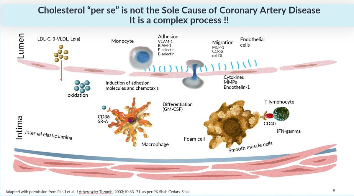 <a href="/PeterJAnderson_/">Peter J Anderson</a> You are absolutely correct—each of the pathways will need individual attention. Statins are more like a gunshot than laser treatment. They have not achieved the impact we need. Thus, the more than 130 pathways we already know about—many in the gene silencing space—will be our