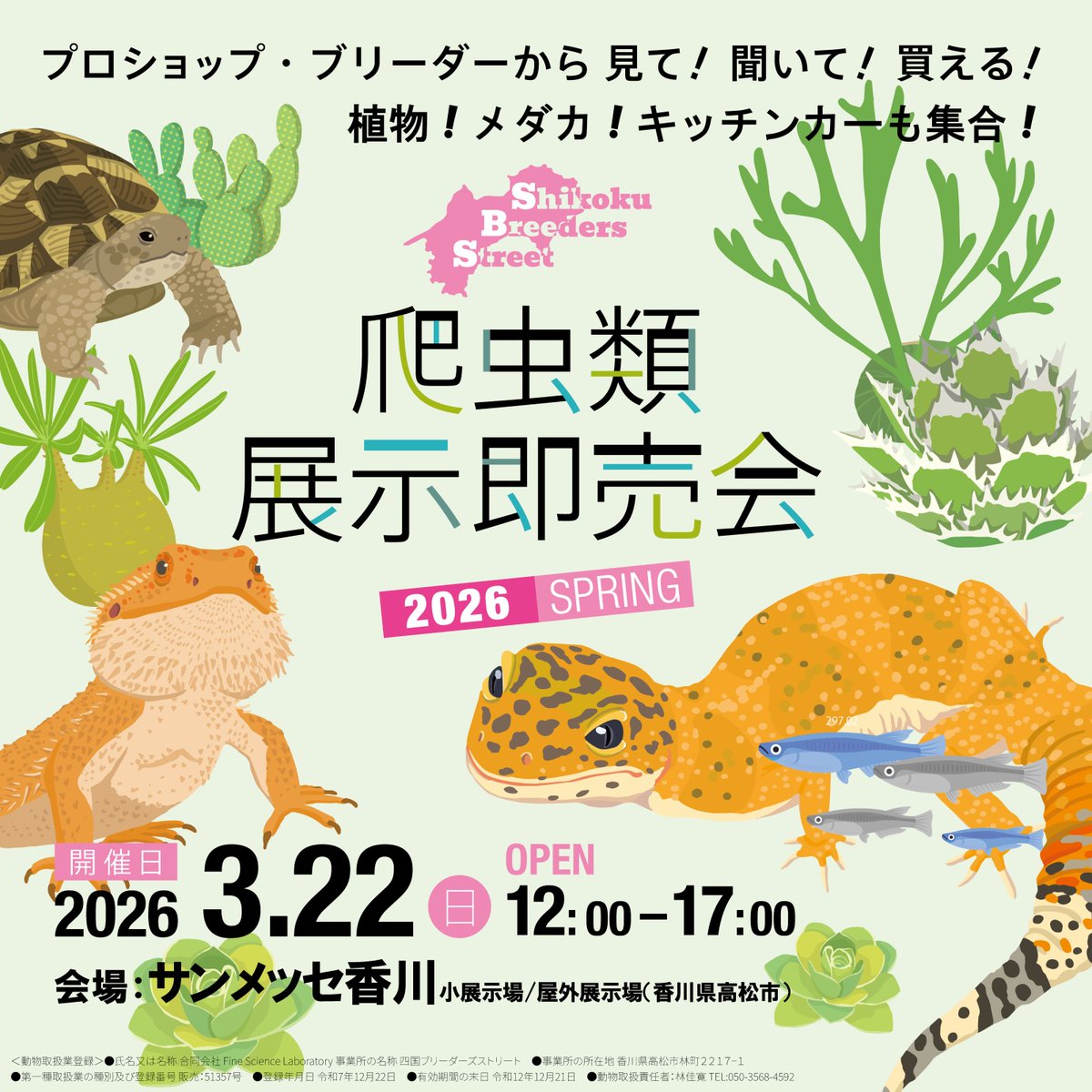 SBS・BS ブリーダーズストリート公式【SBS次回3月22日開催】 tweet media