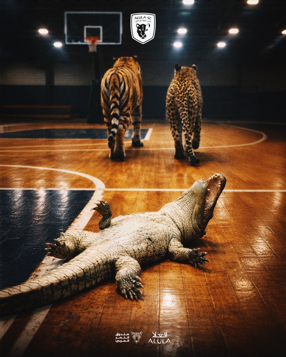 نادي العلا | AlUla Club tweet media