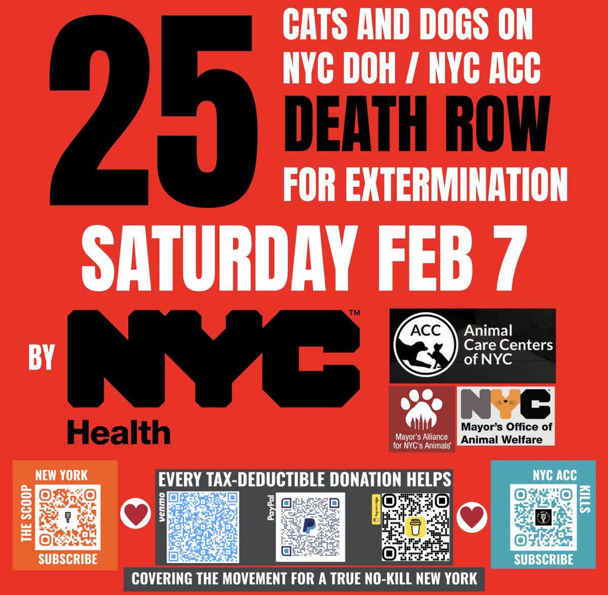 NYC DOH/ACC CARNAGE ALERT: <a href="/NYCMayor/">Mayor Zohran Kwame Mamdani</a> <a href="/NYCACC/">Animal Care Centers of NYC</a> <a href="/NYCHealthCommr/">Dr. Michelle Morse</a> <a href="/nycHealthy/">nychealthy</a> have 25 adoptable cats &amp; dogs set to die TOMORROW. Click for list.

drive.google.com/file/d/1PU2z24…

NYers: Your local &amp; state reps can demand DOH stop the slaughter — 34,000+ since 2015.