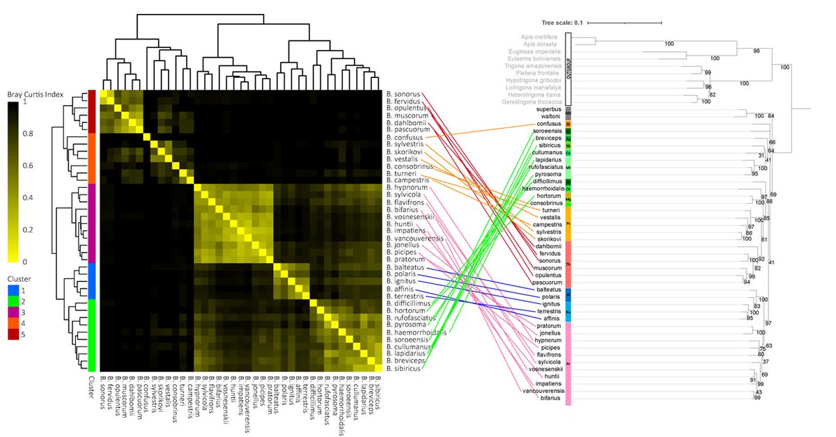 Eric Aguiar tweet media