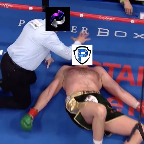 feathers tweet media