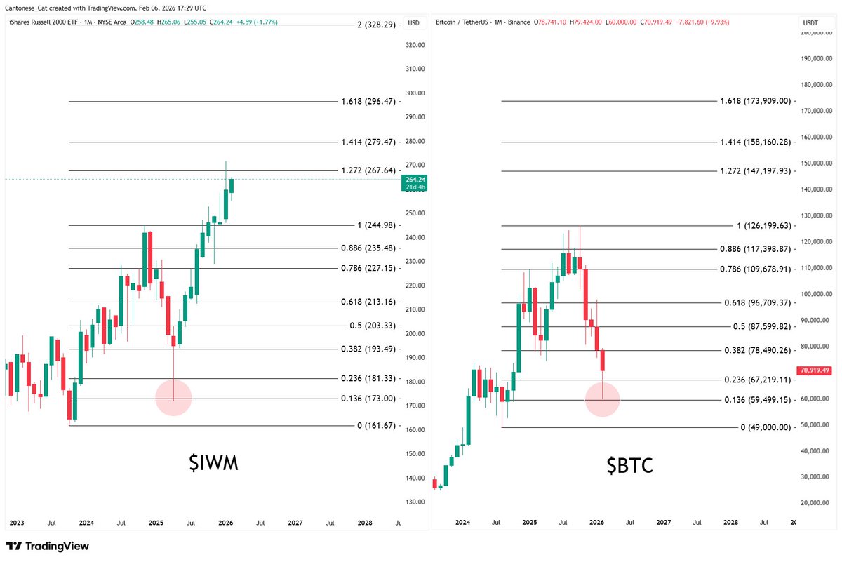 Cantonese Cat 🐱🐈 tweet media
