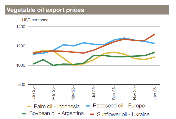 FarmPolicy's tweet image. International #vegetable #oil export #prices remained elevated at the start of 2026 due to persistent supply tightness affecting palm, soy and sunflower oils, while rapeseed oil quotations eased on relatively ample availabilities.

From @AMISoutlook: tinyurl.com/5datkj8h