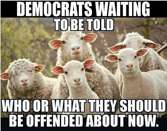 angrywebmaster's tweet photo. Don Lemon’s arrest has triggered the Libtards #DonLemon #Democrats #FaceAct #Minneapolis #CNN #Stupidity #Crime #libtards #FakeNews @HopalongAsks @TheDiplomad @LegInsurrection @RonColeman @SarahAHoyt @ValliantRenegad @NickJFreitas https://t.co/4hyYdKripN https://t.co/NOuX6Jf65C