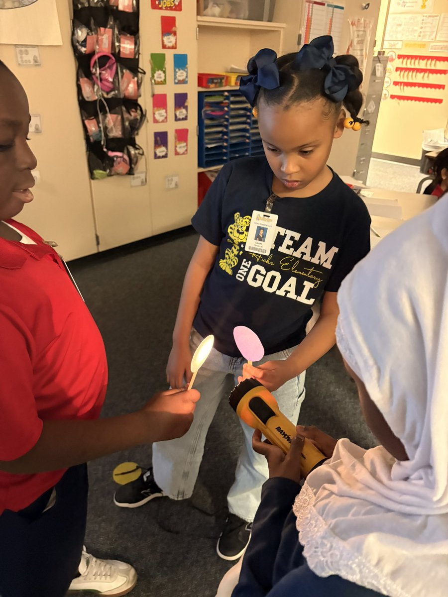 Madison Sutton tweet media