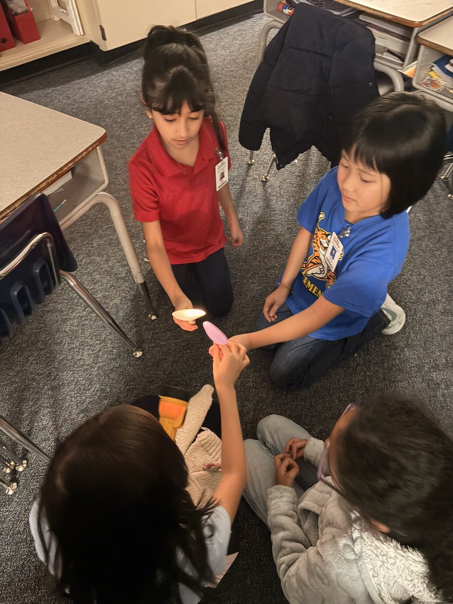 Madison Sutton tweet media