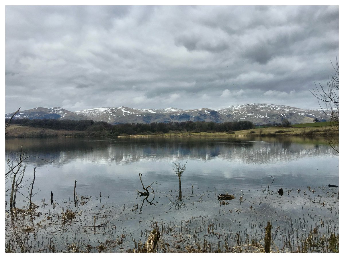 PamelaJG's tweet image. #Undulating