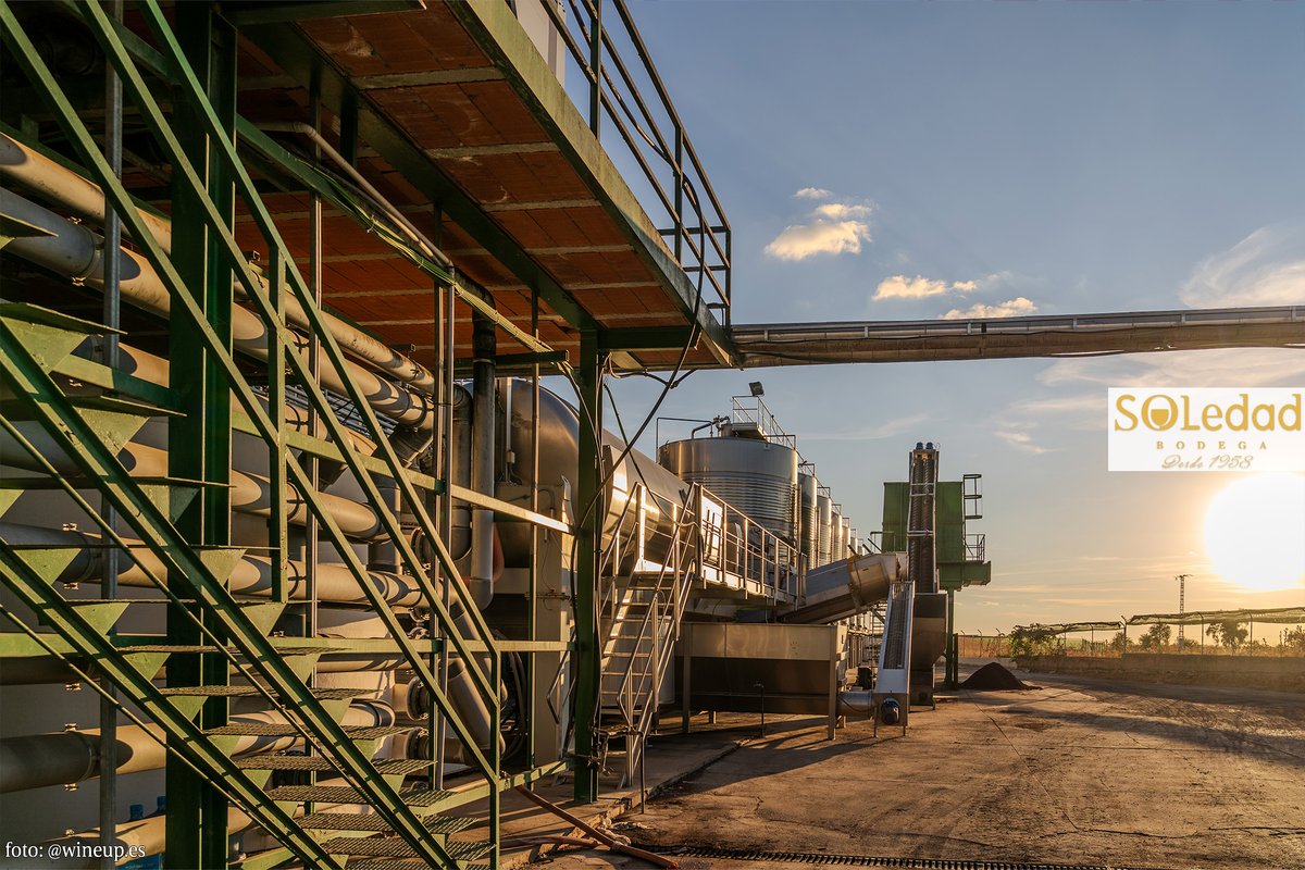 De la viña a tu copa. La tecnología más avanzada y la experiencia de nuestro enólogo se unen con un único propósito: tratar cada uva con el cuidado que merece.

Detrás de cada botella hay una historia. La de nuestro clima, de nuestra tierra, del carácter que late en cada cepa.