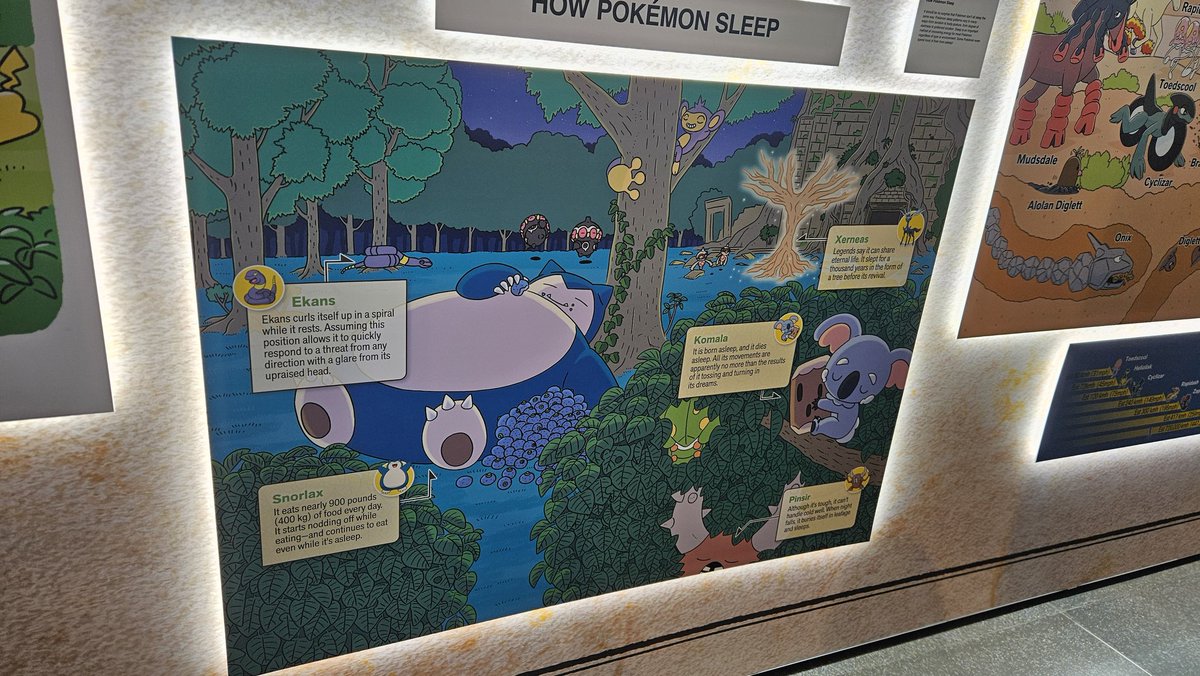 Finn's terrariums tweet media