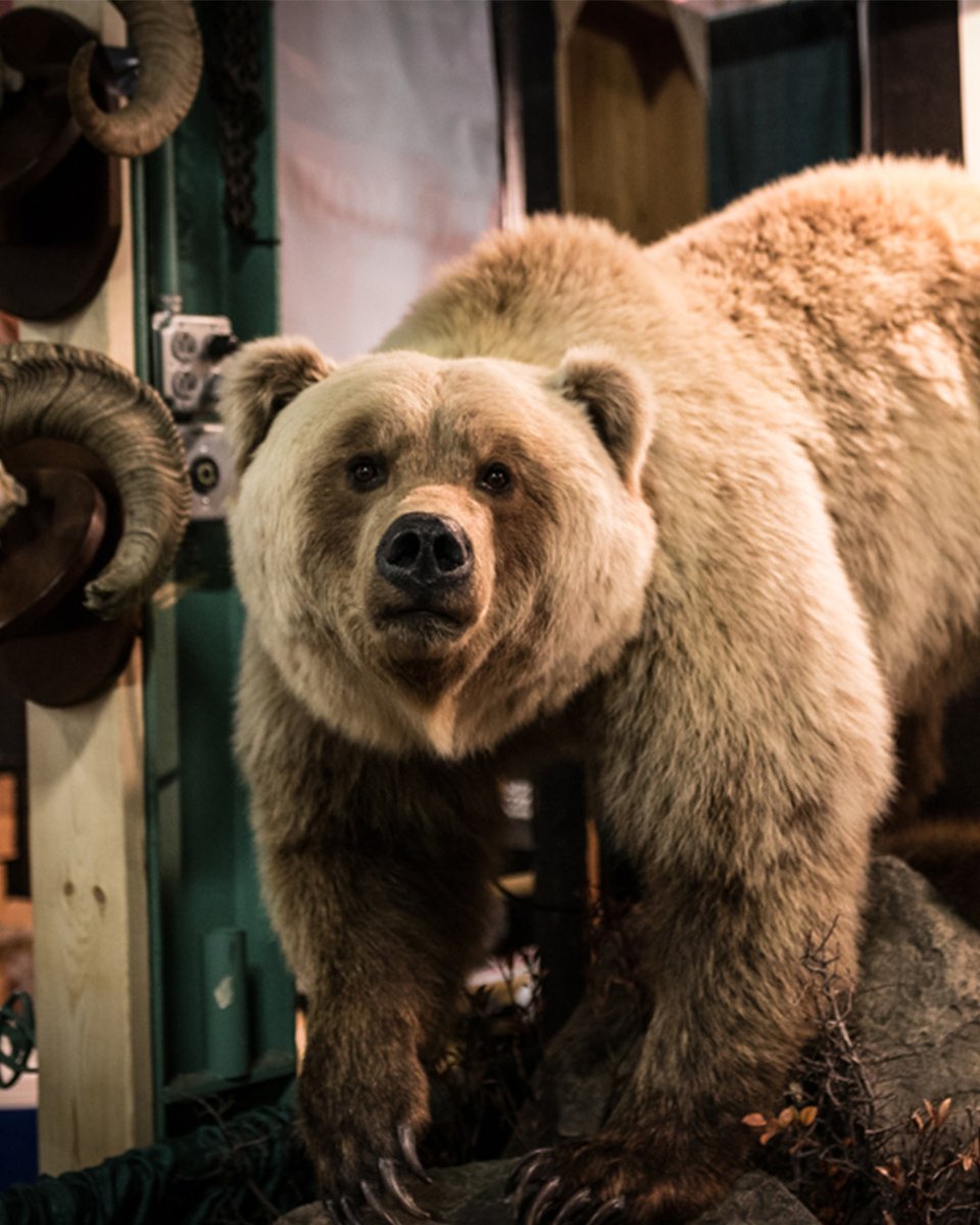 PA Farm Show Complex tweet media