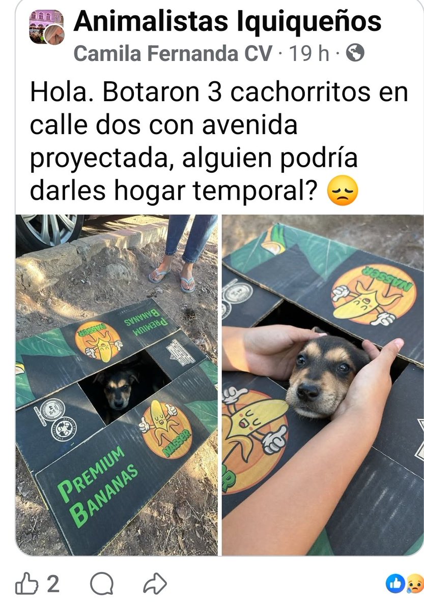 jorgesolimano's tweet image. #iquique #altohospicio