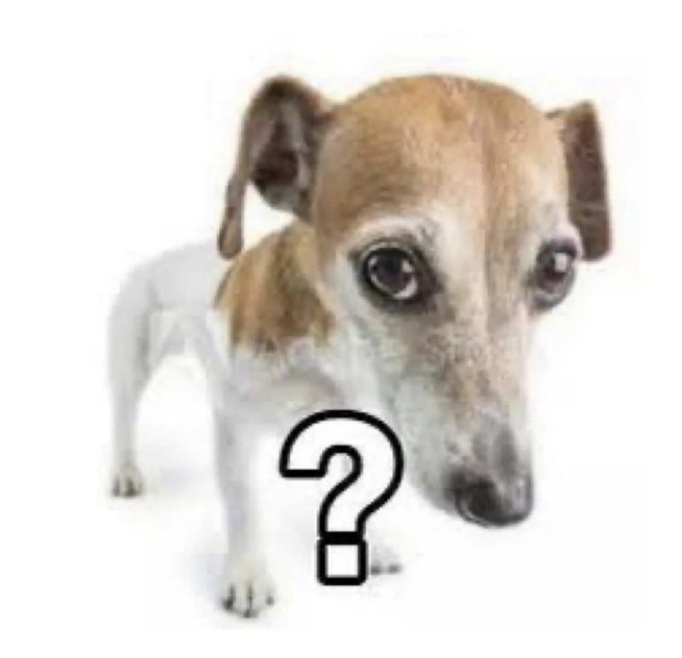 mi cuerpo viendo como un día duermo 12 horas y otro día 2