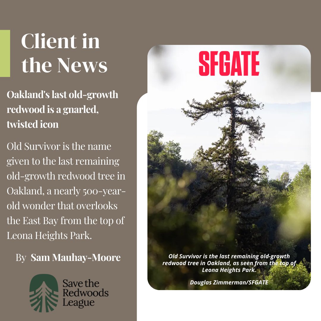 Landis Communications Inc. (Landis) tweet media