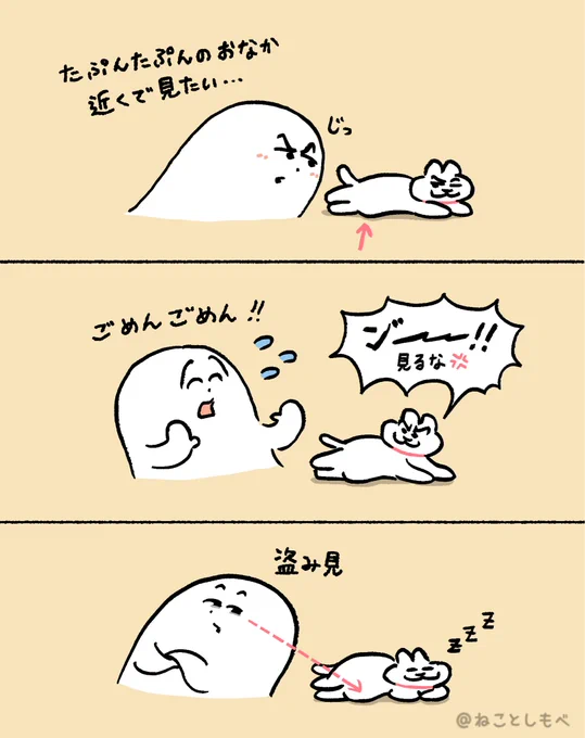 猫のたぷんたぷんのお腹が見たい 