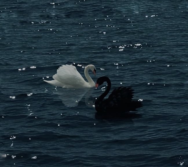 « لا يا دفا شمسي تبيك
لا تحاكي عيوني .. يمطر سحاب الملح
ولا تلمس شجوني .. ينبت في قلبي جرح
ناظرني يا خلي .. جرح أنا كلي »